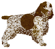 Profile image of Paradise About a Girl