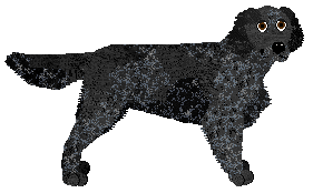 Profile image of Pins'n'Needles/Bermuda INTELEKTUALNY LABIRYNT