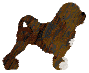 Czeko's Uptown Girl — “Sushi”