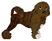 Profile image of Czeko's Uptown Girl