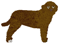 Profile image of Energizing EVERYBODY POMARAŃCZE