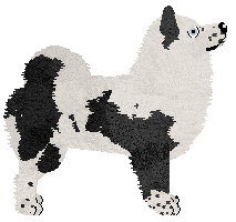 Dragosani STREFA MROKU — “Chada”