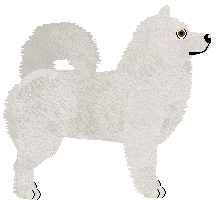 Dragosani BIAŁE JAK ŚNIEG — “Nuvem”