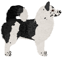 Dragosani MROCZNE UMYSŁY — “Liam”