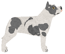 Terror/ML's DIAMOND ON A LANDMINE — “Diamond”