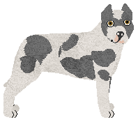 Profile image of Terror/ML's DIAMOND ON A LANDMINE