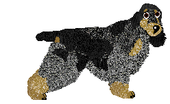 Profile image of Dragosani LUDZIE TRZYMAJCIE KAPELUSZE