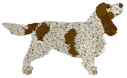 Energizing Face Your Fear — “Wood”