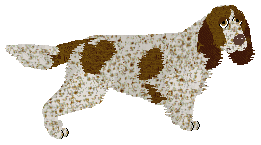 Profile image of Energizing Face Your Fear