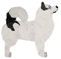 The Brave at Zarcrest — “Andrei”