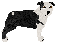 Profile image of Saga's TAK ZWYCZAJNIE