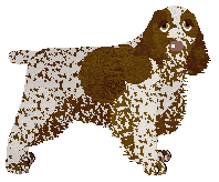 Profile image of Energizing Sweet Sixteen