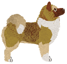 Dragosani SIR PSYCHO SEXY MAN — “Auri”