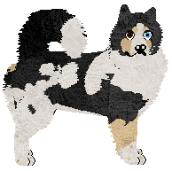 Profile image of Dragosani MILCZENIE JEST ZŁOTEM