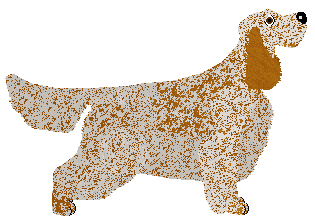 SettFever Lullaby — “Dama”