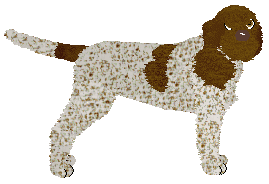 Profile image of Energizing KEEP CALM