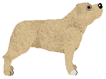 Horizon's Jungle Book — “Mowgli”