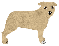 Profile image of Horizon's Jungle Book