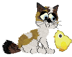 Aniseed/Calluna's Sunny Casinos — “Jonquil”