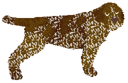 Profile image of Vento de Espero's Dark Chocolate