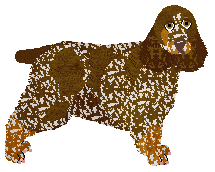 Profile image of Energizing Social Distancing