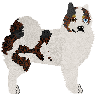 Profile image of Dragosani CZERWONY KAPTUREK