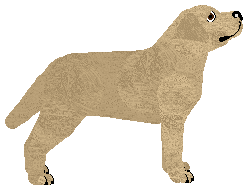 Bubbas' Count Fleet of Alohomora — “Fleet”