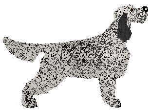 Spitfire's So Am I — “Dayna”