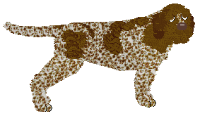 Profile image of Novablue Move Your Mind