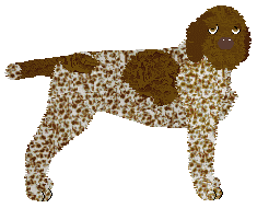 Profile image of Oakley Palm Beach