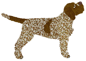 Energizing OH JULIE, I'M YOUR ROMEO! — “Julie”