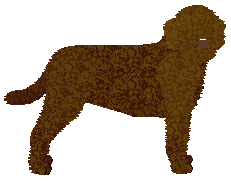 Profile image of Dragosani DEAD SILENCE