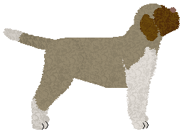 Dragosani JAR OF HEARTS — “Zero”