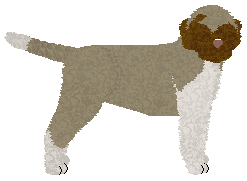 Profile image of Dragosani JAR OF HEARTS