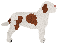 Dragosani DLA MNIE BOMBA — “Ines”