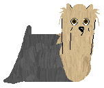 Profile image of Silkwitch Emerald