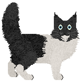 Fauvelle's One for Sorrow — “Magpie”