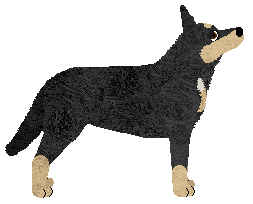 Maplewood's No Trespassing — “Warren”