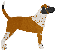 Dragosani RYTUAŁY — “Red”