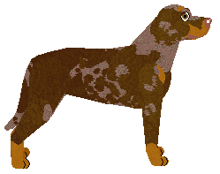 Dragosani CHRISTMAS CAROL — “Chia”