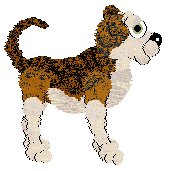 Cansas' Courage to Change — “Jewel”