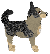 Paradigm Under Saarthal — “Saarthal”