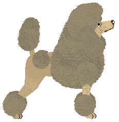 Extra Special of Kezia — “Kiki”