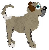 Profile image of Arrow's Nazar