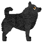 Cansas' Devil in Me — “Warlock”