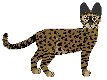 SECHE Papież sztuk — “Alwin”