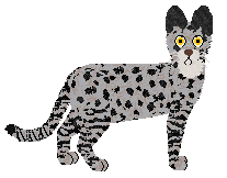 Amethyst Zakon Feniksa — “Snape”