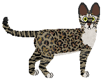 SECHE Moja Gwardia — “Kiki”