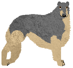 Expedition's Perfect Example — “Moris”