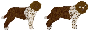 Profile image of Lakeshore's Reggio di Calabria